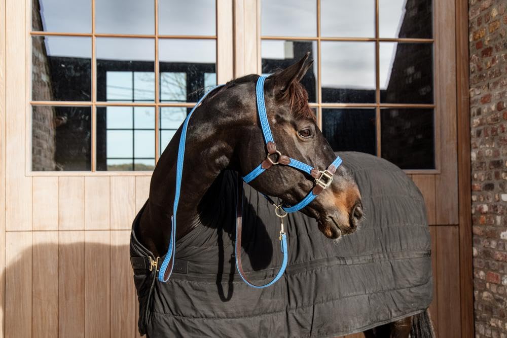 Kentucky Cabezada para Caballos Nylon Trenzada