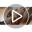 Boho Throw Blanket, 100% Organic Cotton Breathable Ultra Soft 60" x 80" Bed Quilt Throw - All Season Floral Rustic Farmhouse Decor Luxury Reversible Blanket for Sofa Couch Chair and Gift