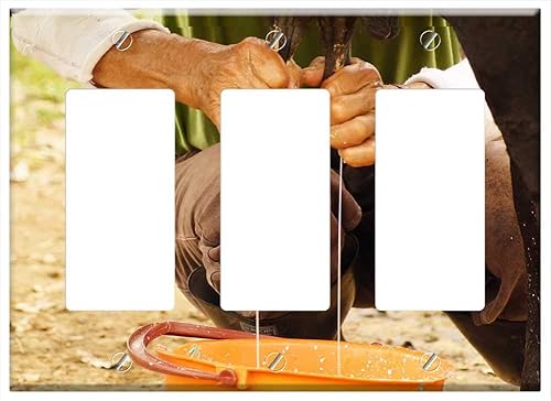 Miniatura 1 de Switch Plate Triple RockerGFCI - The Field Nature India Quindio Colombia