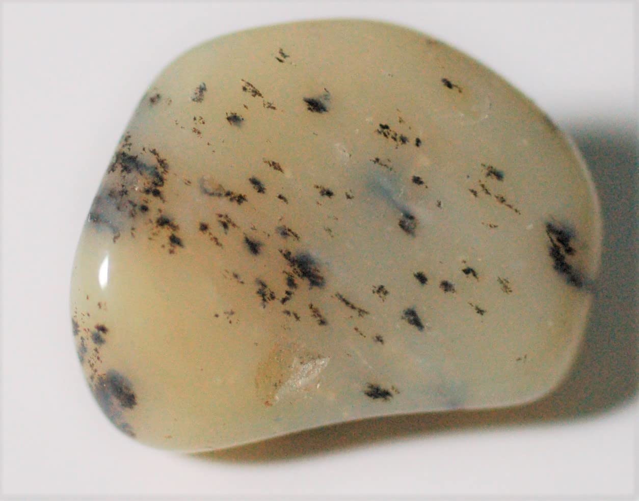 MERLINITE TUMBL ESTONE 1.8 x 1.4 cm 2.89 gm Wizard Stone Dendritic Agate #8