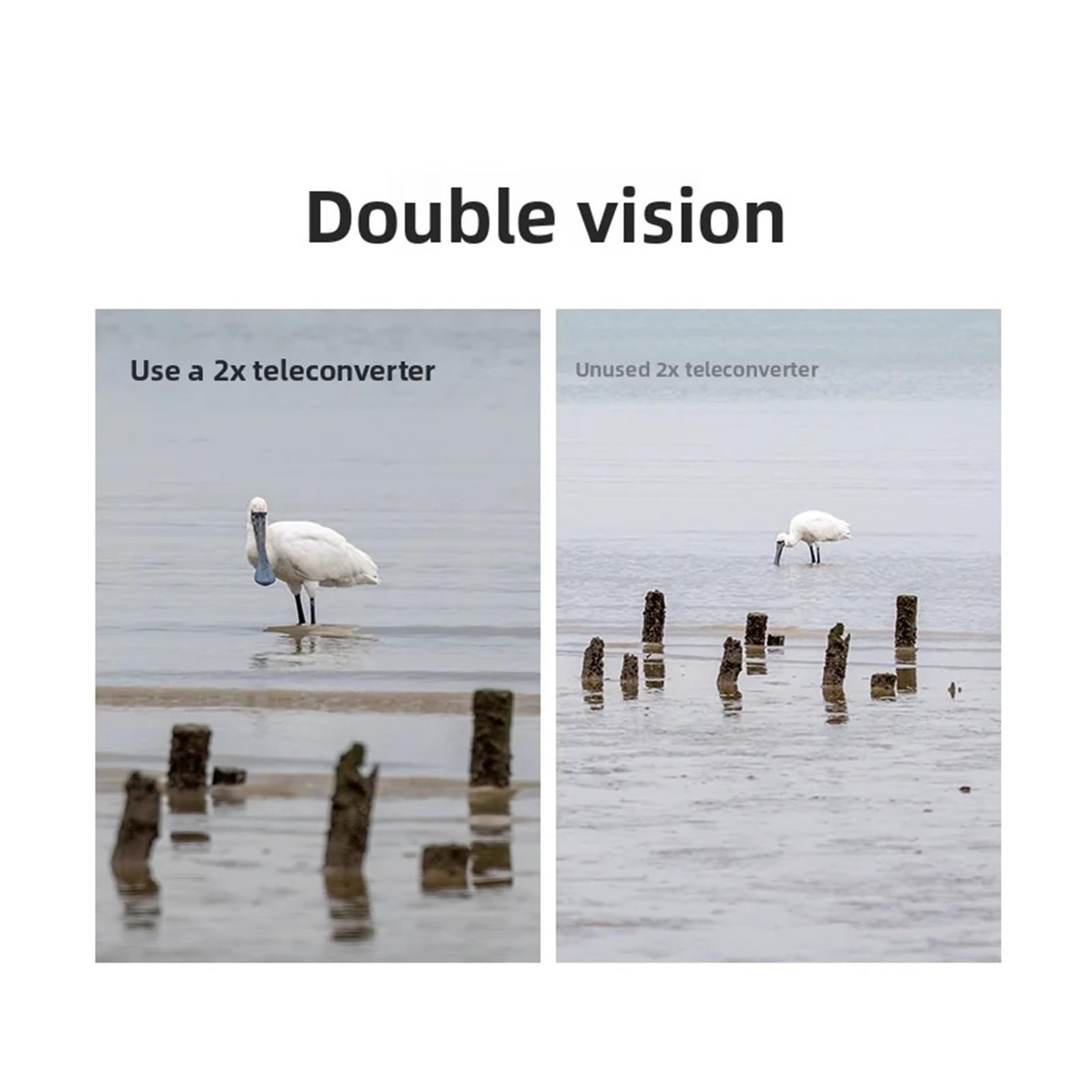 Lens, 2,0-facher Telekonverter mit Autofokus, kompatibel mit Sony E-Kameraobjektiven,for Camera