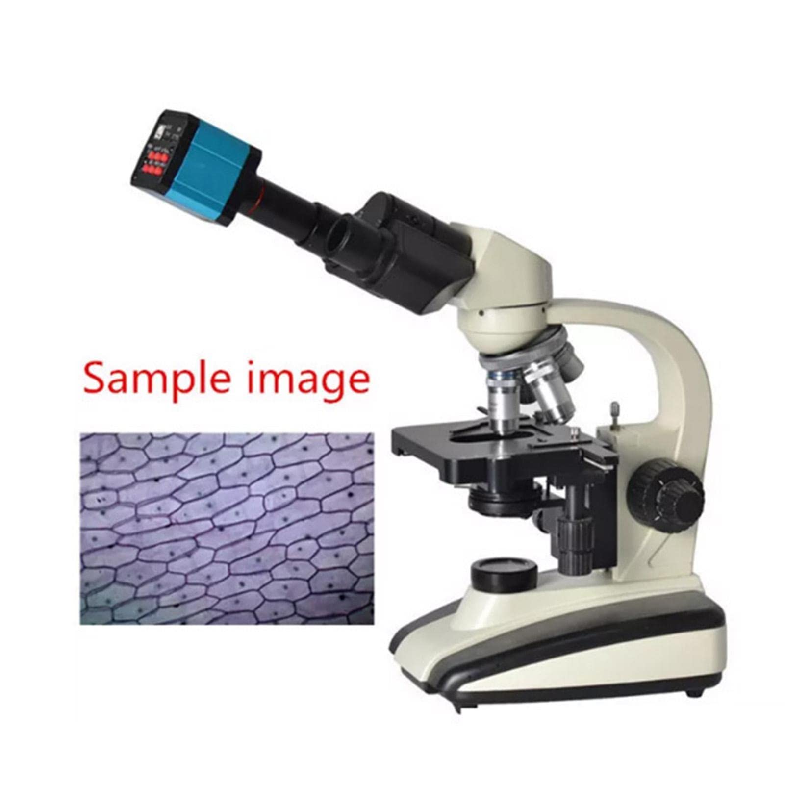 BuyWeek Cámara de Microscopio Digital Endoscopio de Aumento, 14MP HDMI HD 1080P Industrial con Adaptador de USB (Enchufe de la UE)