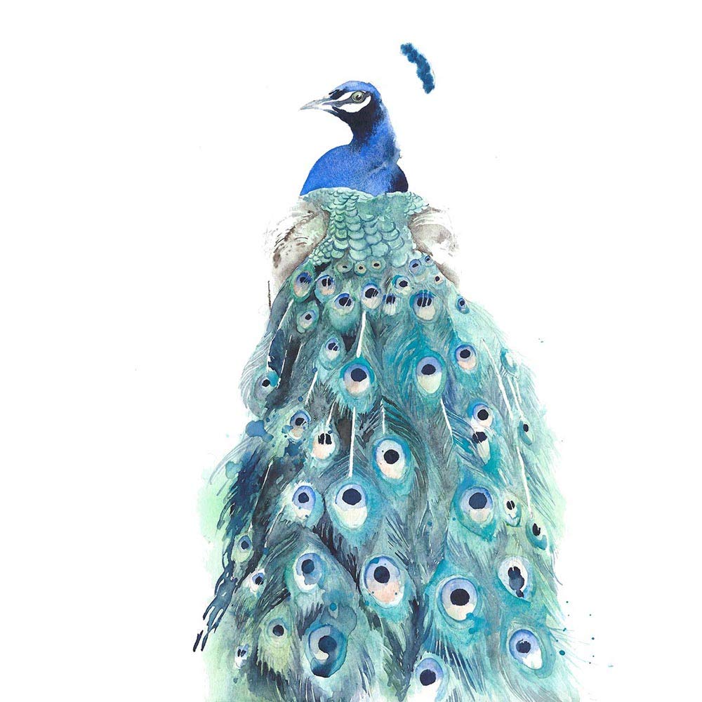 Wee Blue Coo Bird Peacock Watercolour Art Print Poster Wall Decor 12X16 Inch