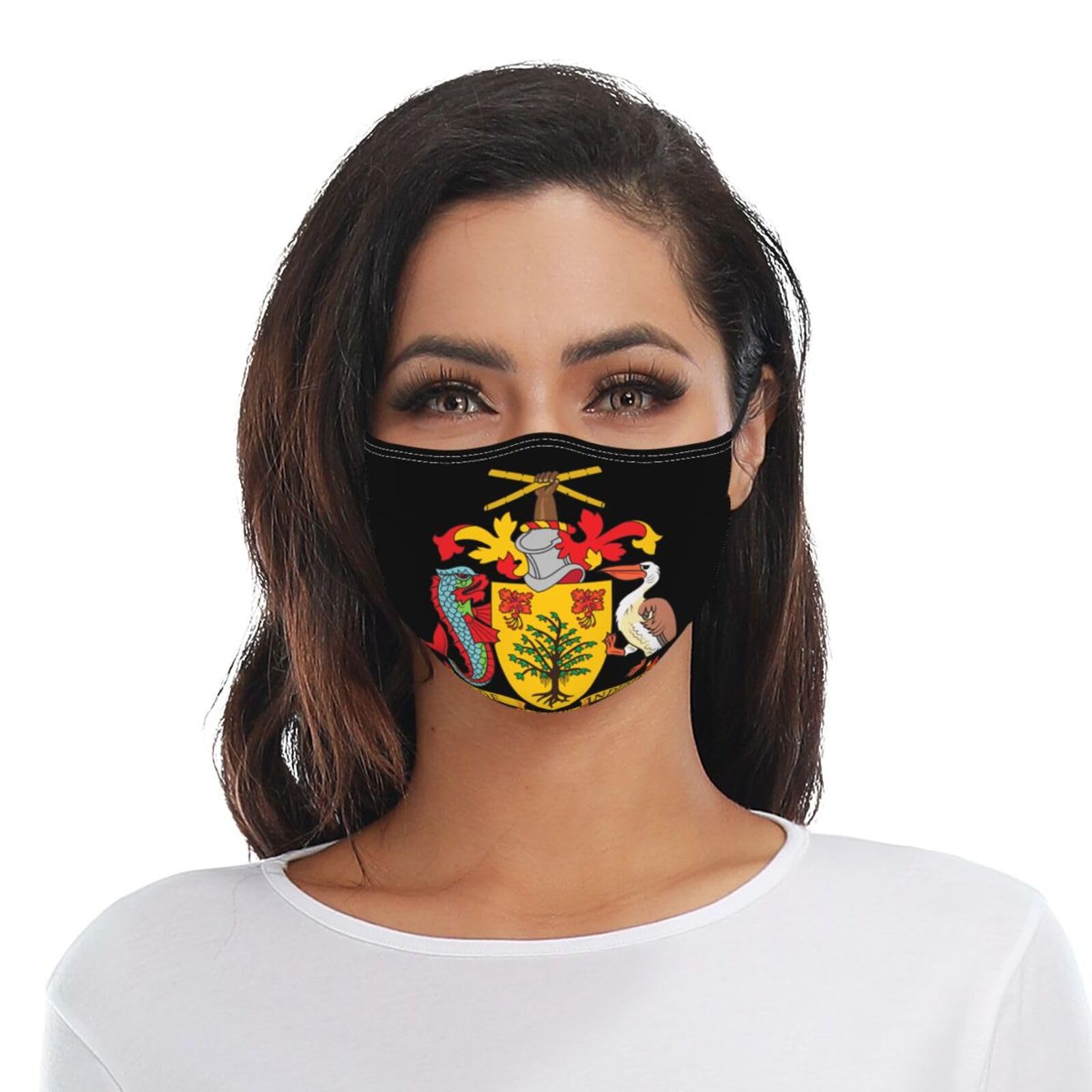 Coat of Arms of Barbados Adult Dust Mask Adjustable Dust Face with 2 Filter75