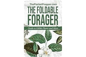 The Foldable Forager: Pocket Survival Guide