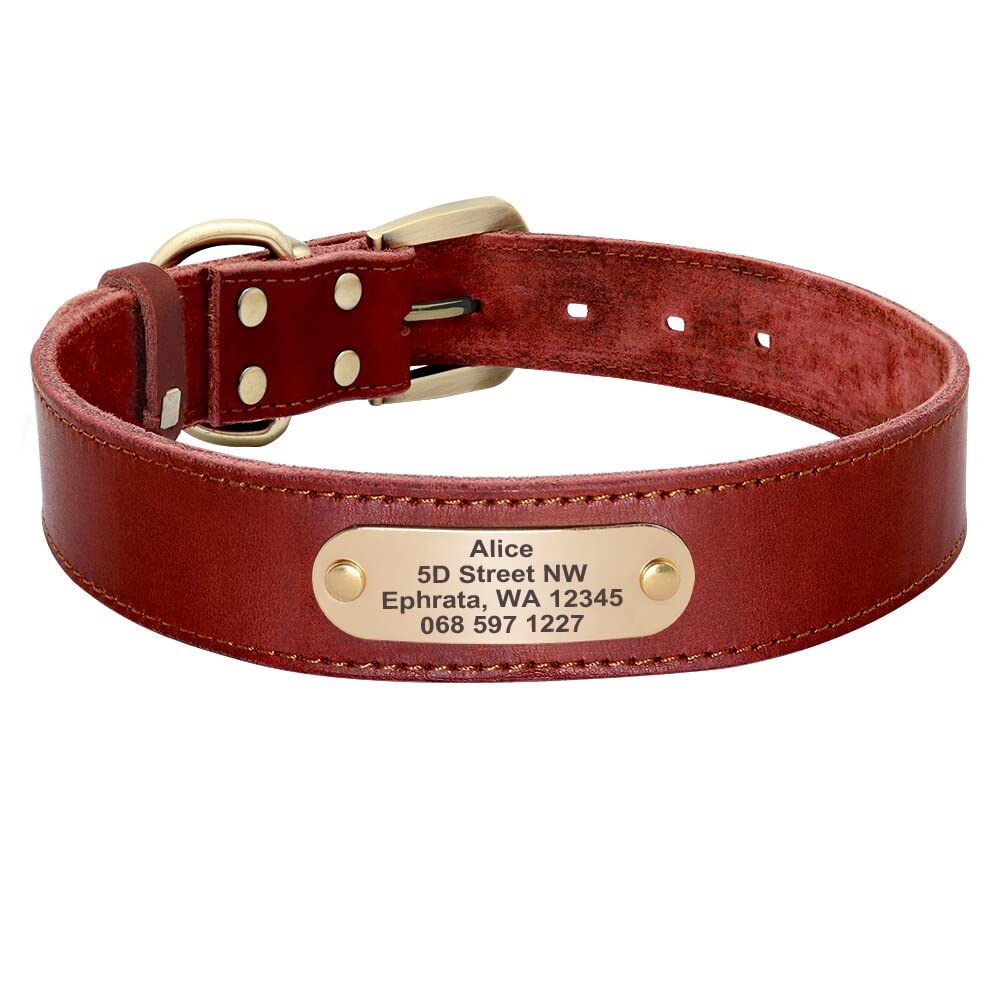 Collier personnalisé en cuir pour chien rouge XL réglable grand canidé