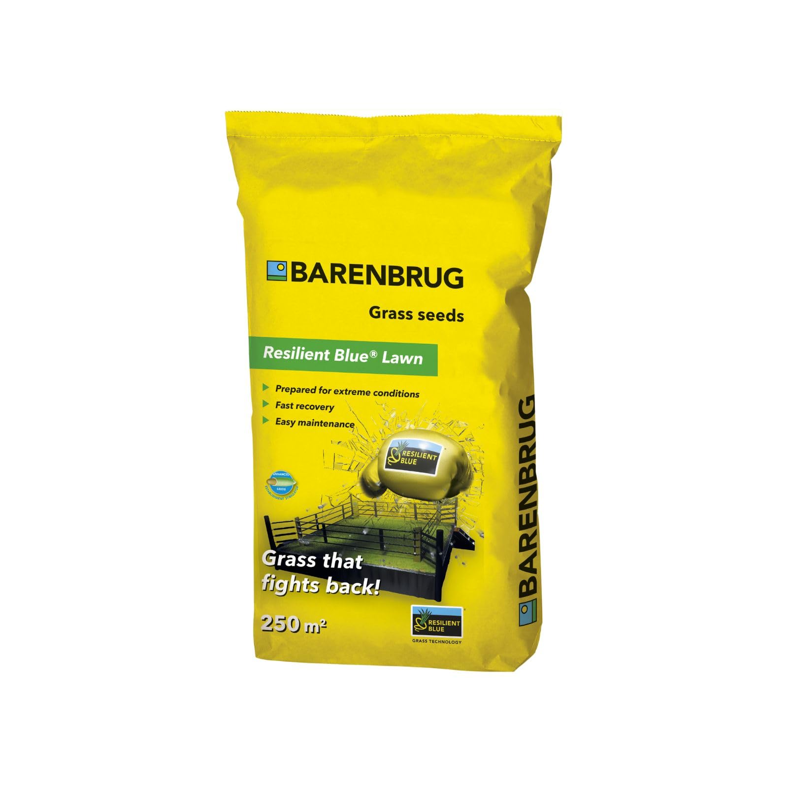 BARENBRUG Resilient Blue wytrzymały 5 kg odporny na chodzenie
