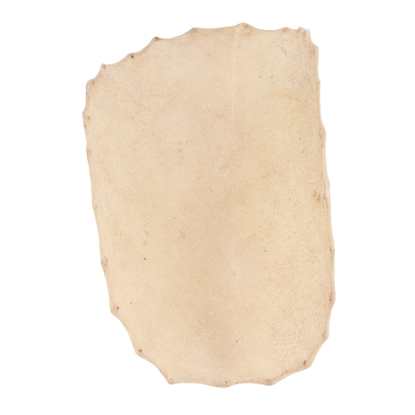 Tête de Tambour en Peau de Chèvre Remplacement Tête de djembé en Peau de Chèvre Son Clair pour Bongo et Shaman Tambours Accessoire de Tambour Rond de 320 Mm de Diamètre