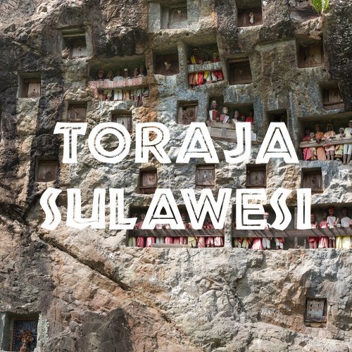 Toraja Sulawesi White Eagle Coffee, En grano, 16 oz miniatura 2