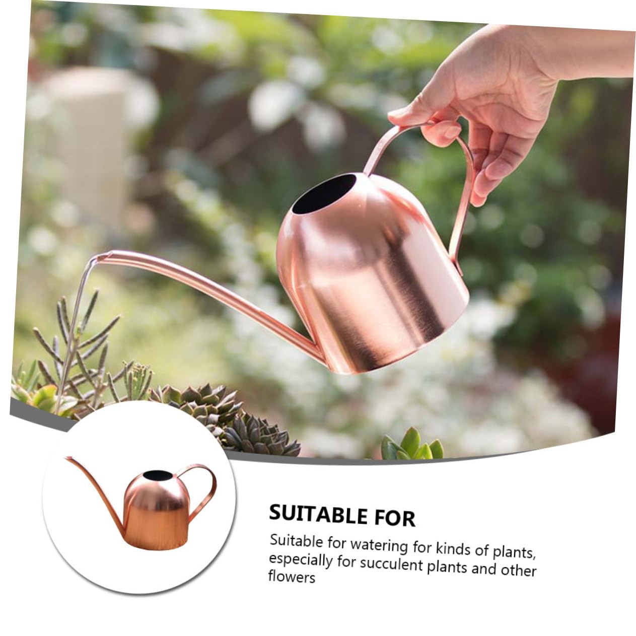 Acciaio Inox Annaffiatoio 500ml Beccuccio da Giardino
