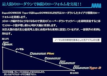 Amazon | ESPELIR ( エスペリア )【 Super ダウンサス