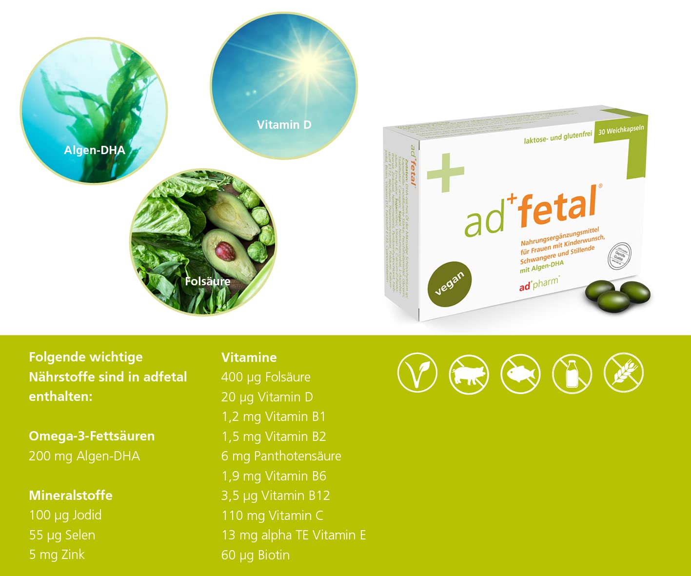 Schwangerschaftsvitamine - Optimale Unterstützung von Kinderwunsch bis Stillzeit mit DHA, Vitamin D, Jod & Folsäure - Vegan & Allergenfrei