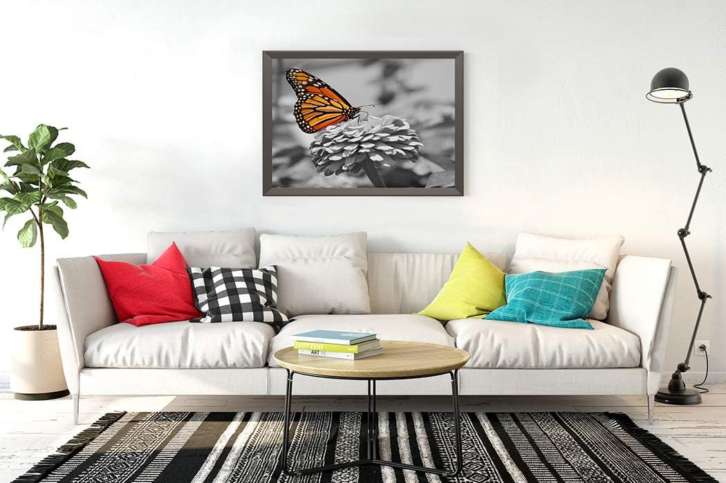 DIY 5D Diamond Painting Kits Orange Flower Monarch Butterfly Color Black White Colorful Nature Full Drill Painting Arts Craft Canvas for Home Wall Decor Full Drill Cross Stitch Gift 16X20 Inch