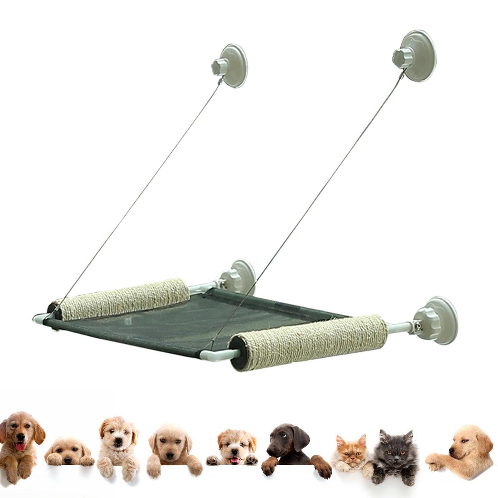 Perchoir de fenêtre pliable pour chat, siège de repos pour animal