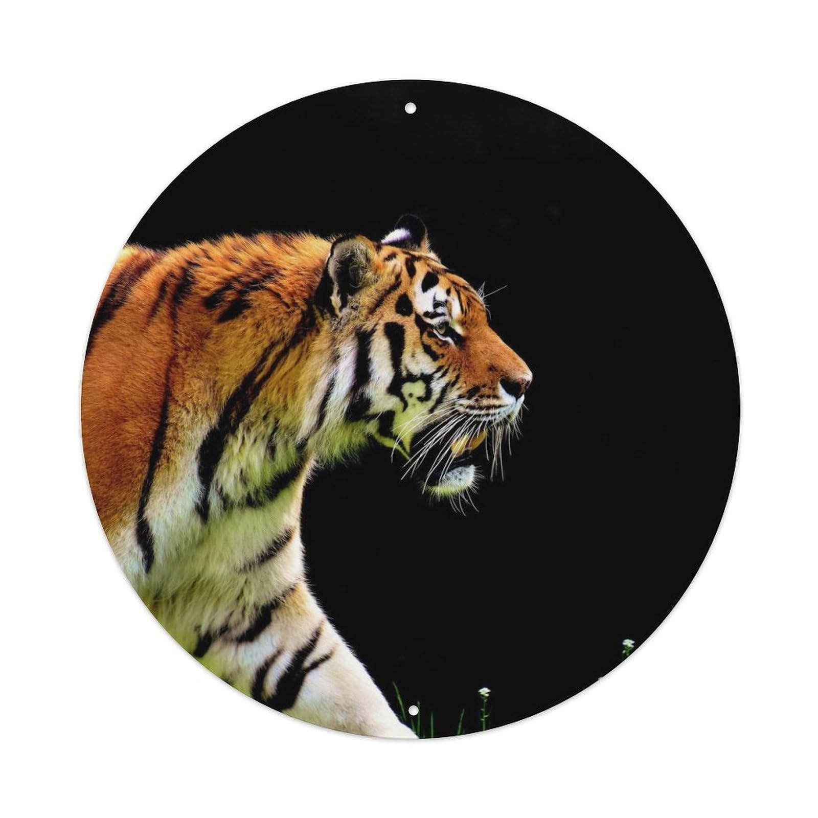 Tiger Predator Night Jungle Wildlife Portrait Metal Tin Sign