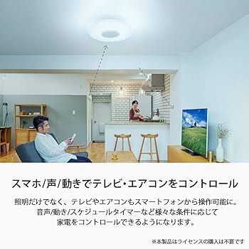 Amazon.co.jp: Sony マルチファンクションライト MFL-2000S