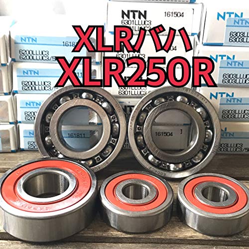 ���{�� ���ϋv�� �O��z�C�[���x�A�����O XLR�o�n XLR250R MD22 ���v5��
