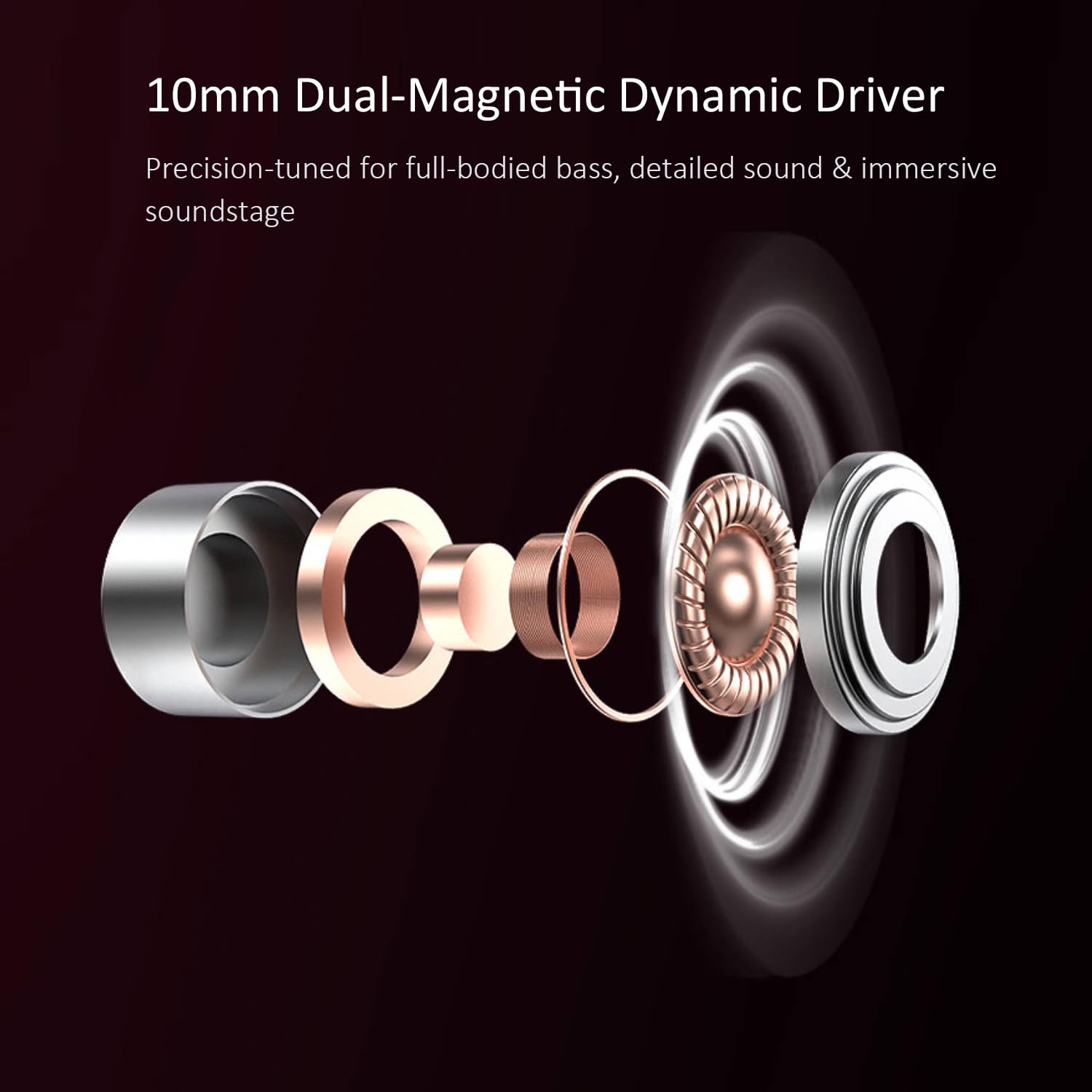 RitMoment RIT10 Pro kabelgebundene Ohrhörer – Pro IEM Kopfhörer, ausgewogener Klang und satter Bass, dualer magnetischer dynamischer Treiber, ultra Komfort, schallisolierender In-Ear-Monitor (Mikrofon