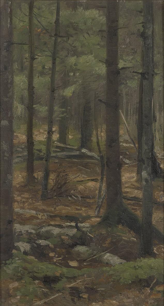 Het Woud Van Rominten Richard Friese cuadro decorativo clásico de 60x90cm para regalar 5