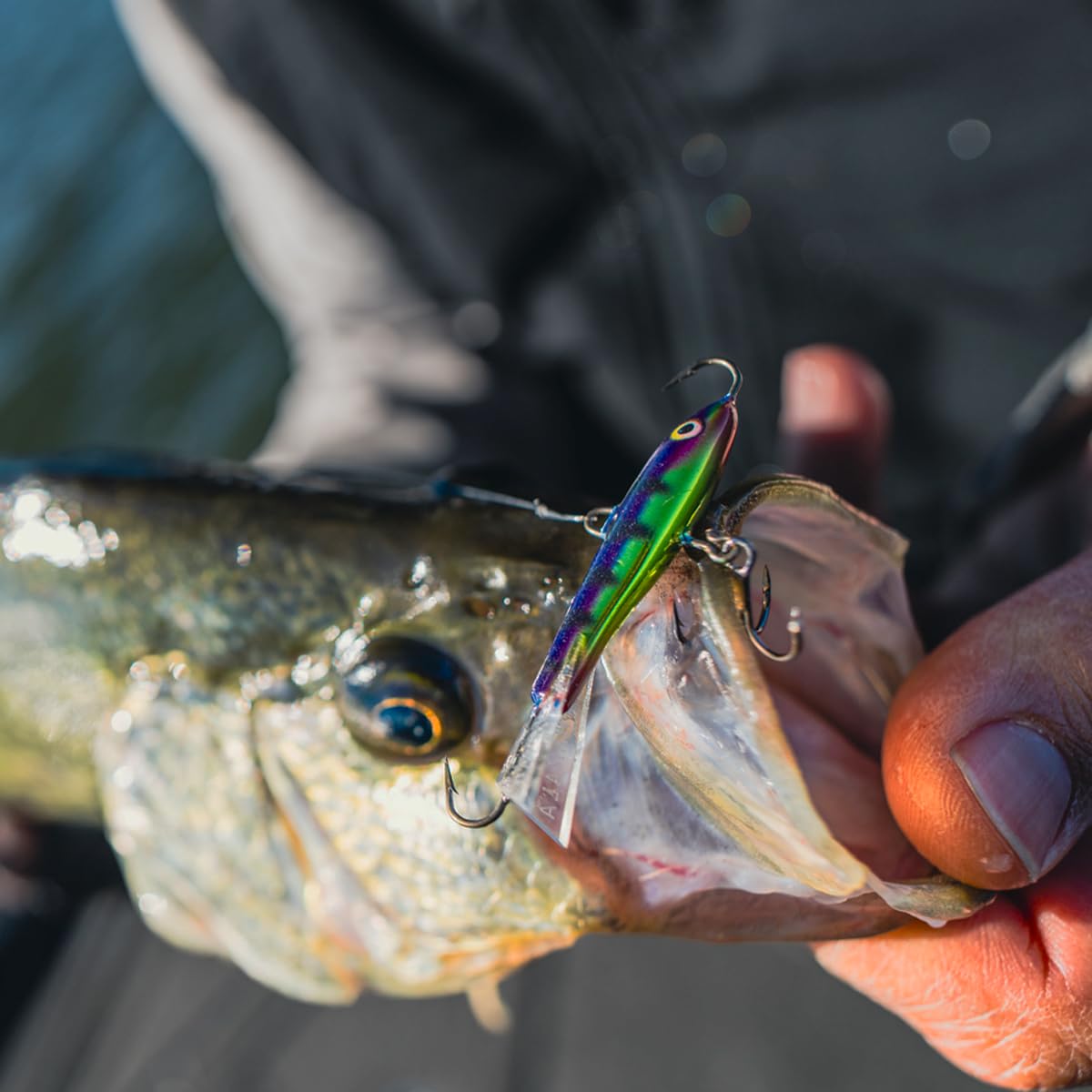 Jigging Rap 07 Head Spin : Amazon.sg: Sporting Goods
