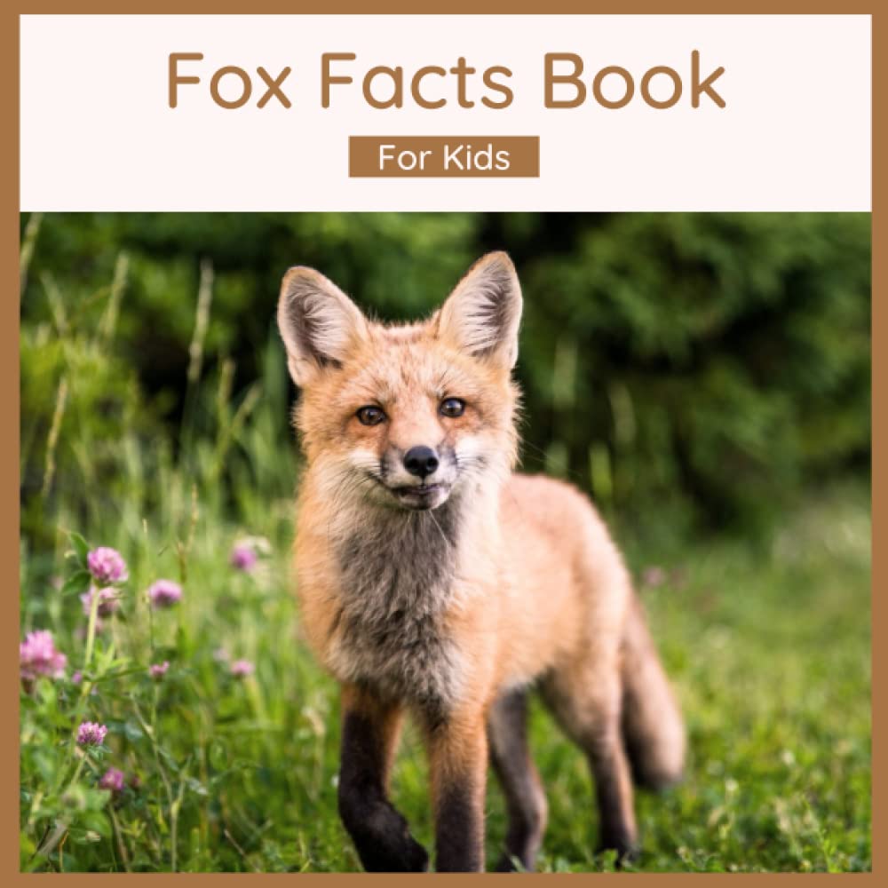 Fox Facts Book For Kids: Facts About Foxes