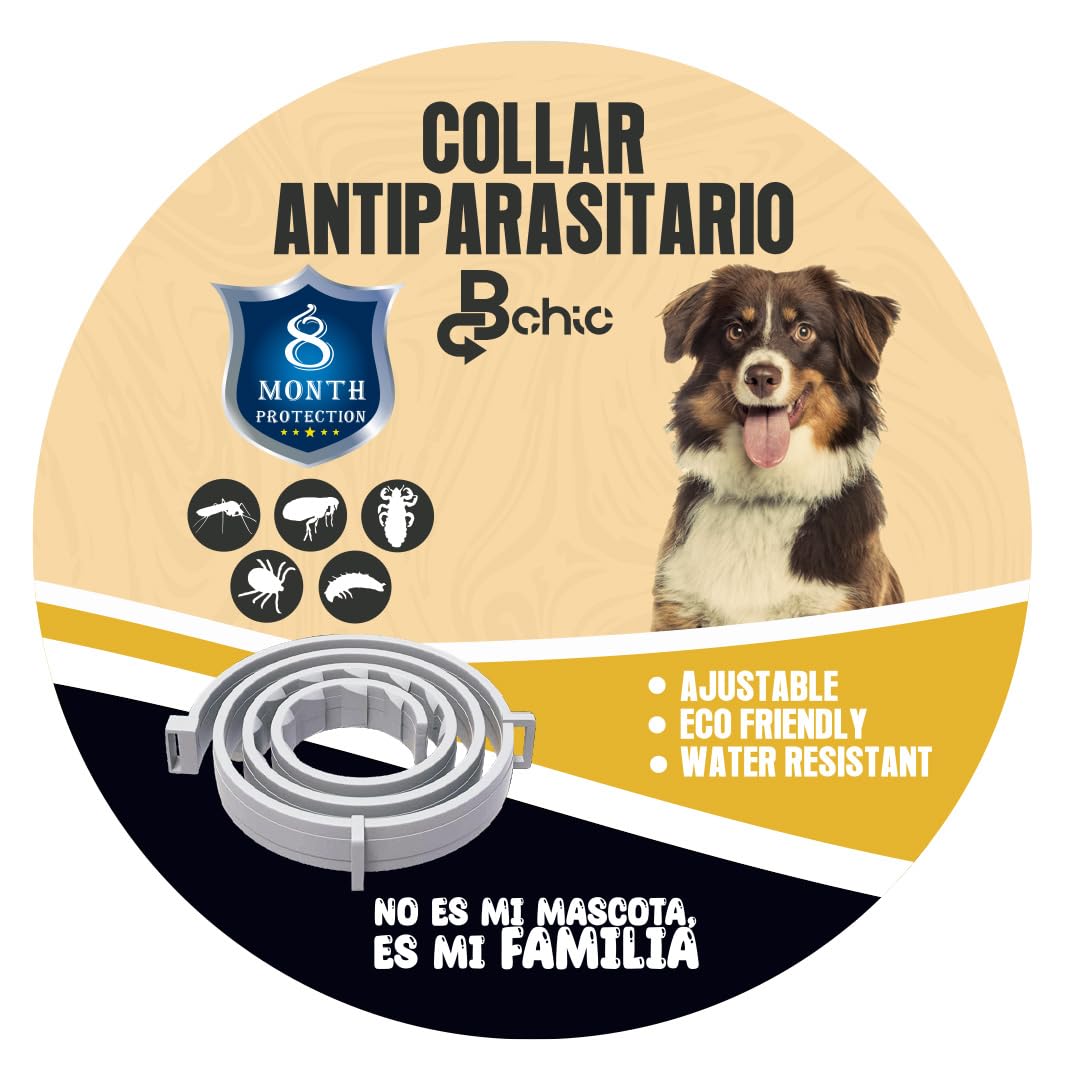 BCHIC Collar Antiparasitario Perros - 8 Meses Protección - Protección Pulgas, Garrapatas, Piojos y Parásitos - Natural - Impermeable - Ajustable - 63 centímetros - 1 Unidad Gris