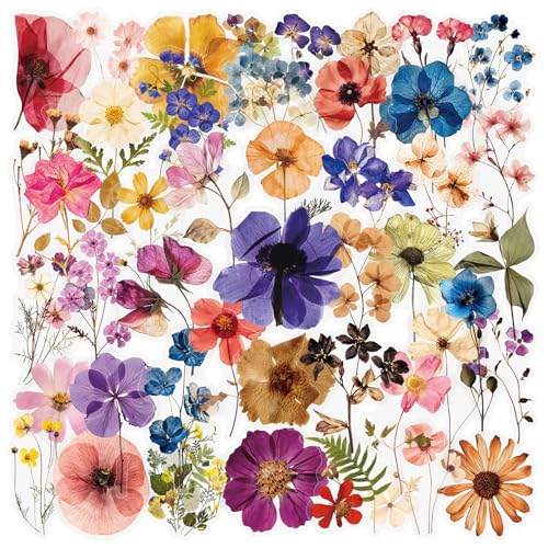 Ovanda 50 Stück Gepresste Getrocknete Blumen Set Natürliche Gemischte Blüten Mehrfarbig für Basteln Scrapbooking Harz Kunst Selbstklebend PET Blumen Aufkleber Pflanzen Sticker Journaling