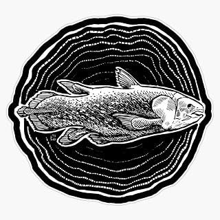 Coelacanth - The Living Fossil Sticker Decal Size 5"