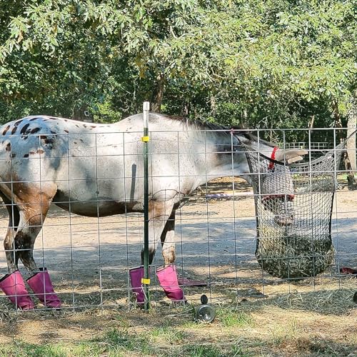 Achicklead Rede de feno de alimentação lenta, sacos de feno 2 peças para cavalos, cabra, trailer, su