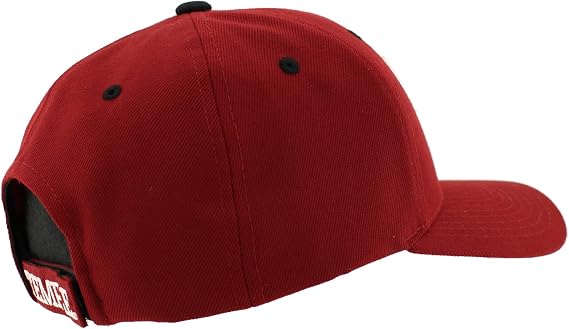 ZHATS NCAA Unisex-Adult NCAA Officially Licensed Snapback Hat Competitor Team Color