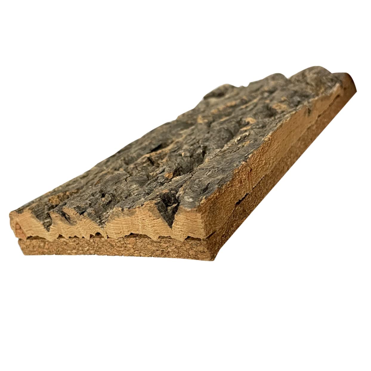 BESPORTBLE 10piezas Reptile Bark Backdrop para y Terrarios Natural De para Decoración De Peceras y Reptiles y