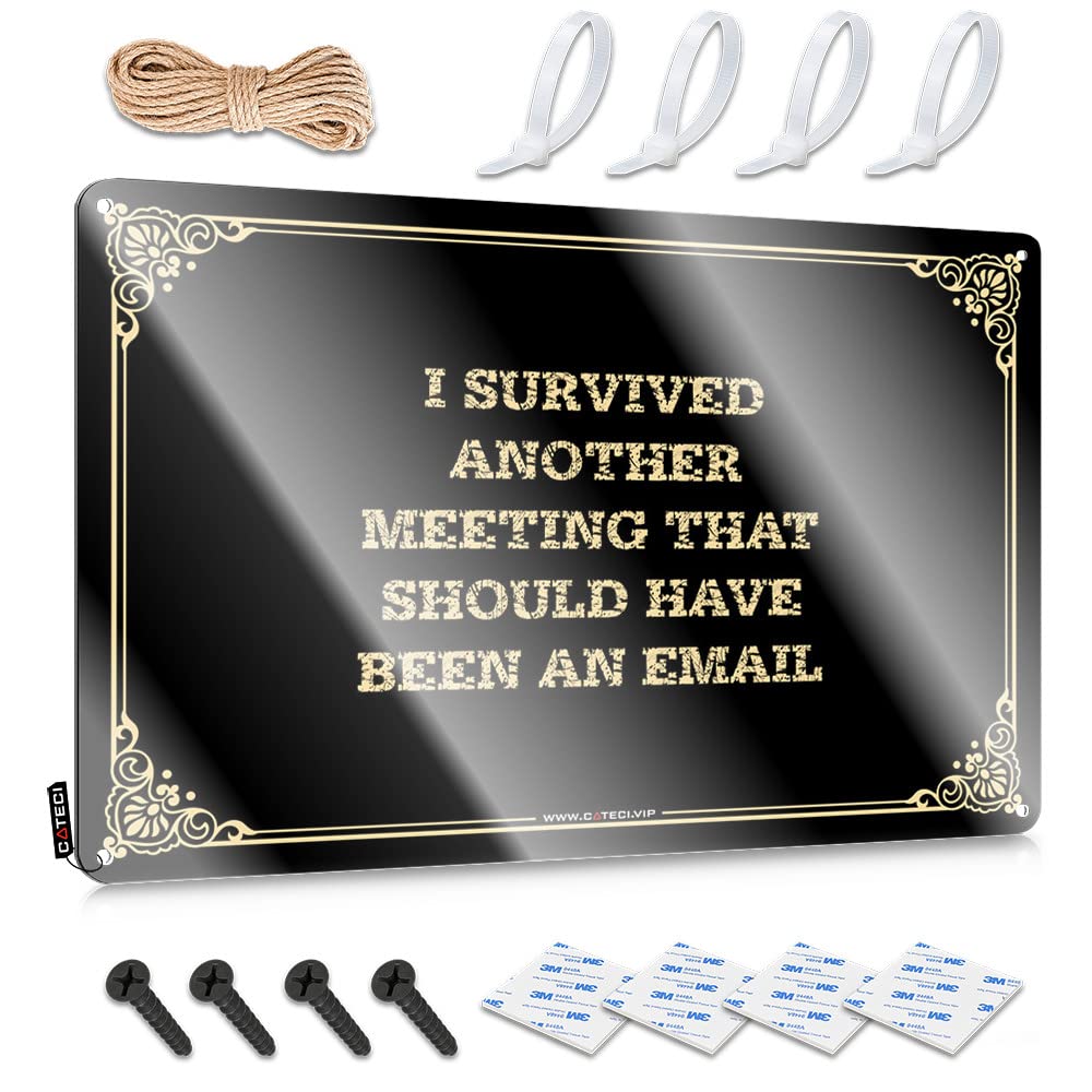 MWFKKADDB Funny Vintage Signs I Survived Another Meeting That Should Have Been An Email Tin Sign Cave Door Sign Room Signs For Bedroom(30X40CM)