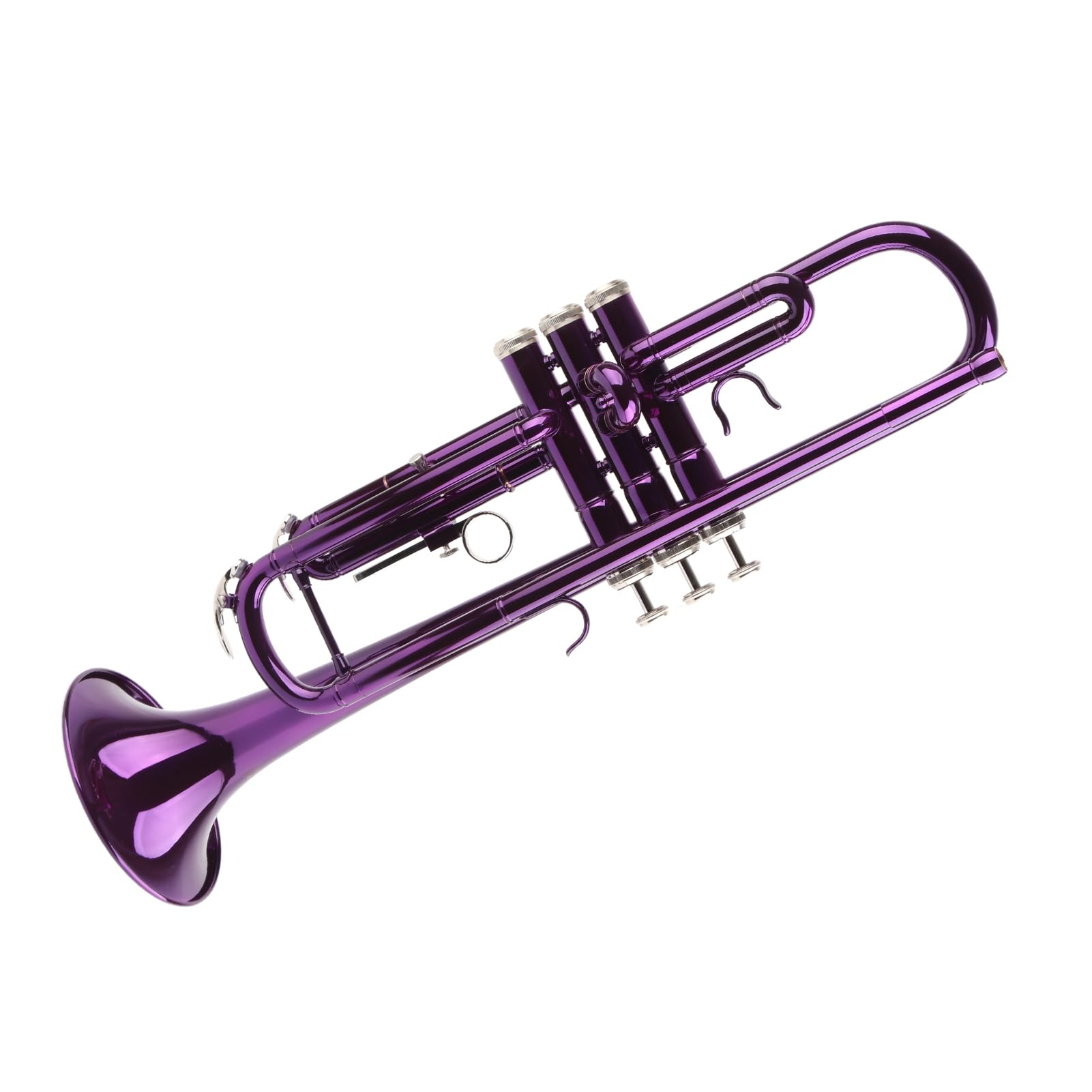Aramox B-Trompeten-Set für Anfänger mit Koffer, Professionelles Blechblasinstrument mit Zubehör für Studenten und Blaskapelle (PURPLE)
