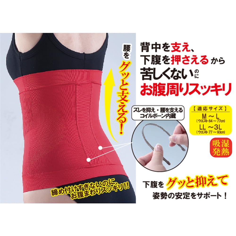 シェイプサポーター ウエスト用 Lサイズ からだの美容院 シェイプサポーター ウエスト用 Lサイズ からだの美容院