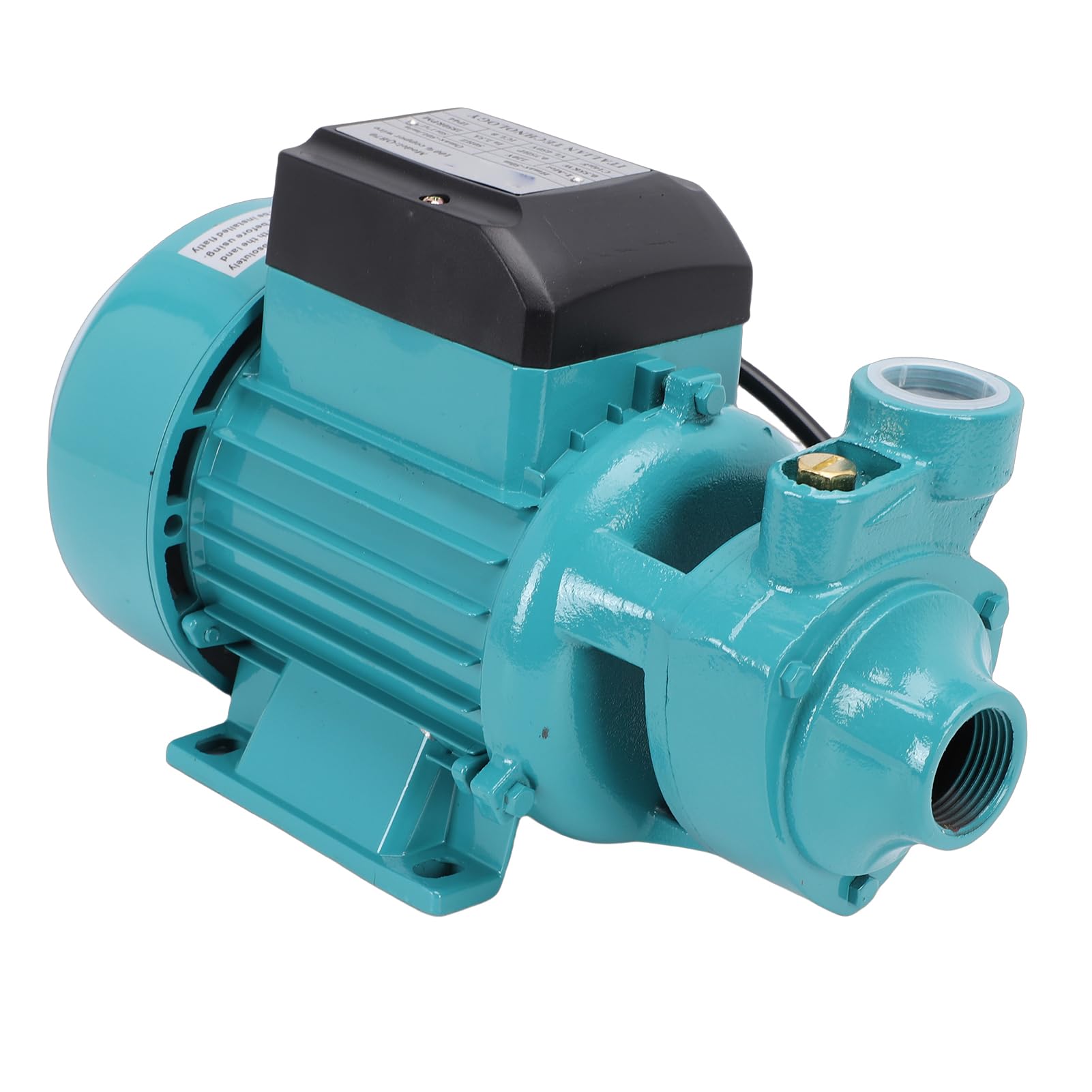 Aramox Bomba de Transferencia de Agua, 0,75 Caballos de Fuerza, Centrífuga, 50 L/min para Riego de Jardines y Cuidado del Césped
