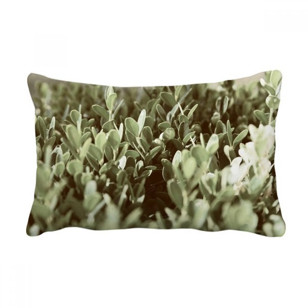 Coussin de canapé feuilles soleil, une idée cadeau déco nature