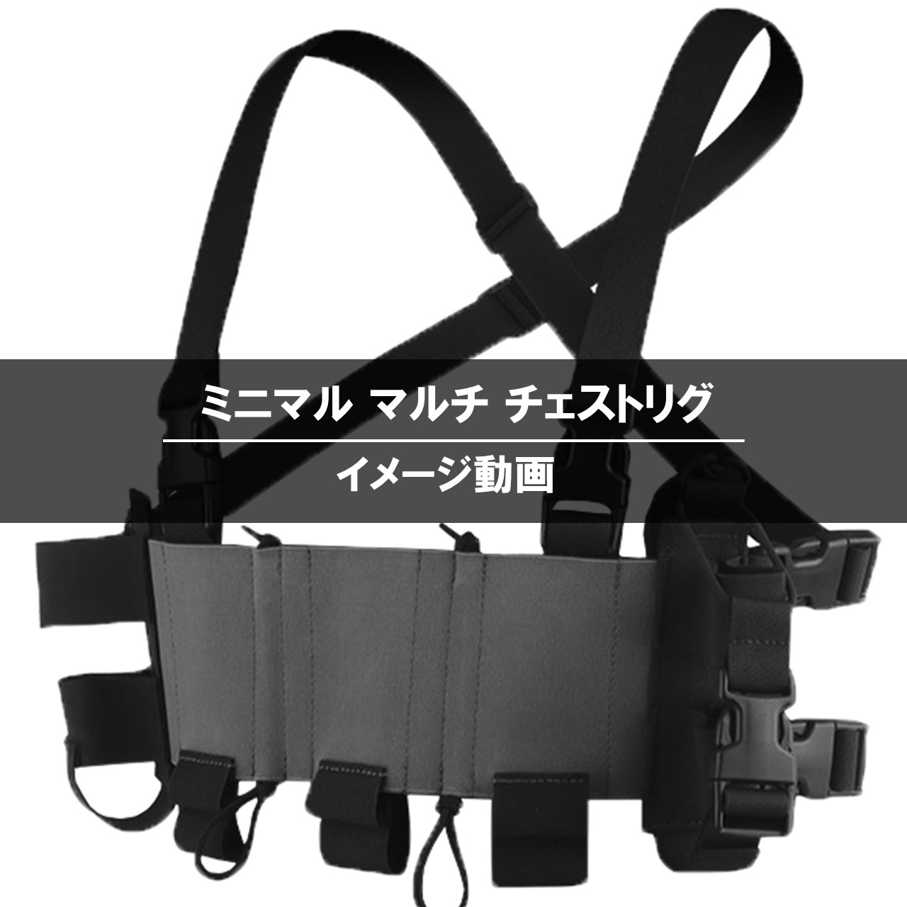 Amazon | [TAILOR JAPAN] マイクロチェストリグ チェストリグ