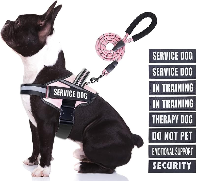 Peitoral Vest para Cães em Treinamento Animire com Guia Refletiva e 10 Adesivos, Rosa, M