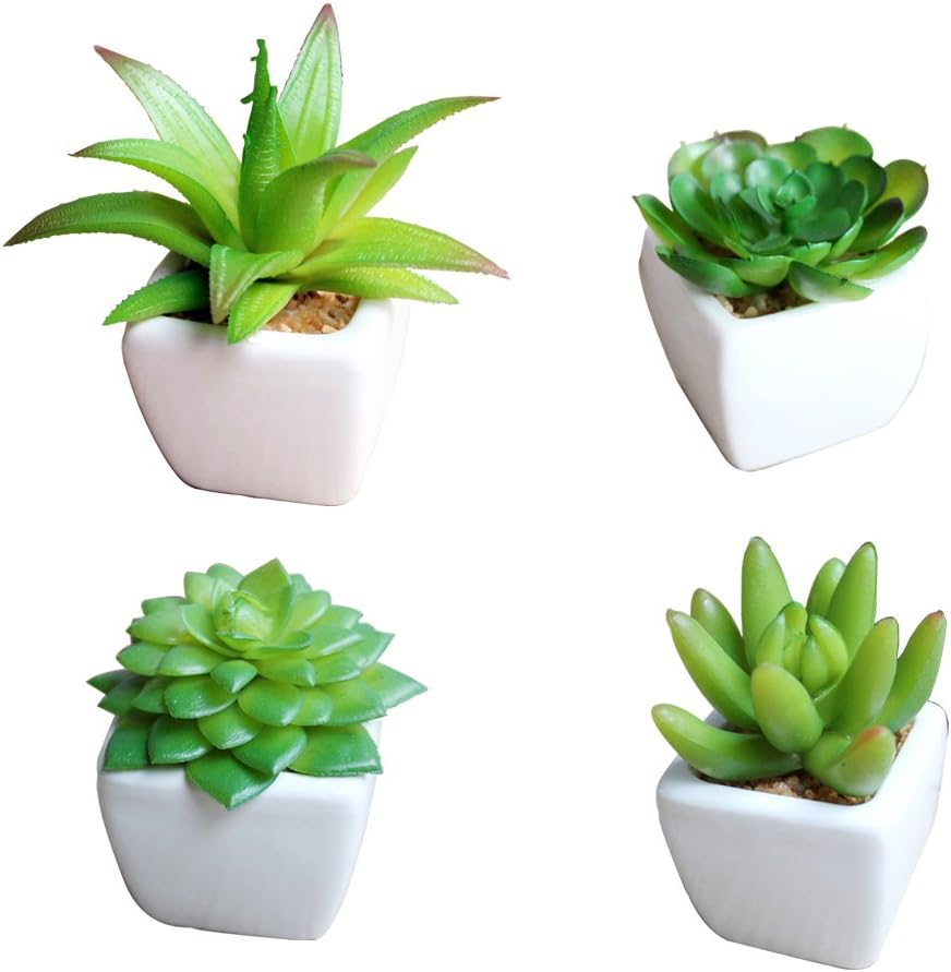 Set of 4 Small Artificial Succulent Plants in Mini Modern White Ceramic Planter Pots, Fake Cactus Desk Plants for Home Decor Indoor