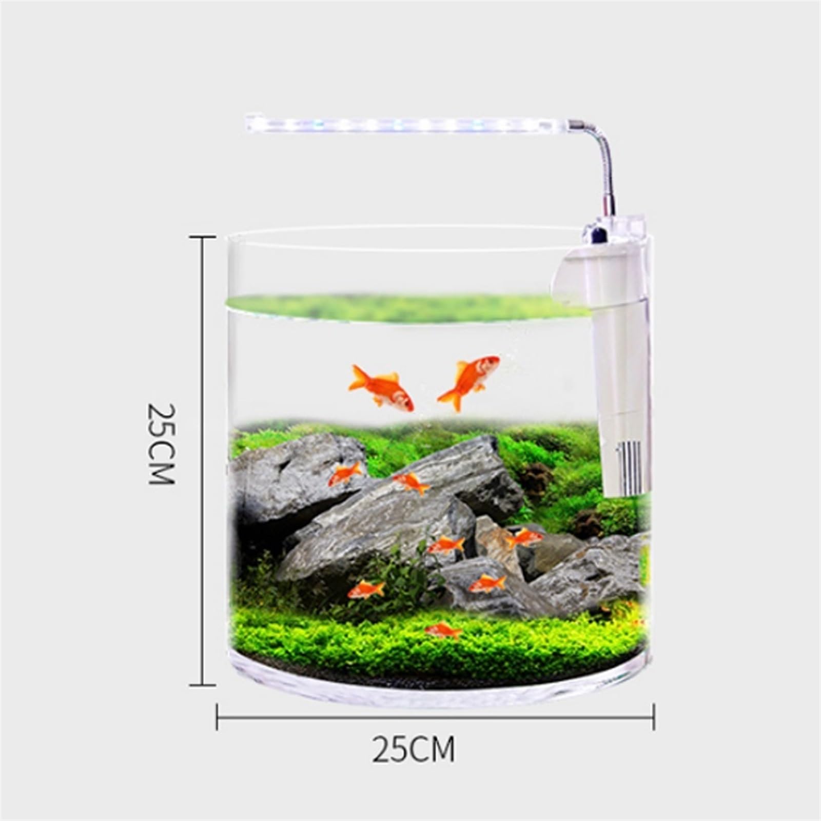 Süßwasserfische Rundes Aquarium aus Glas, for Zuhause, Wohnzimmer, Büro, Filter, LED-Licht(XS)