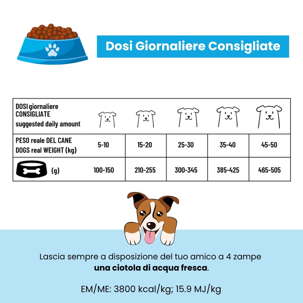 Pet360 Forma Adult Pesce e Riso 12 Kg – Crocchette per Cani Adulti Medium e Maxi – Alta Digeribilità con Omega 3, FOS e Glucosamina – Supporto Cute, Pelo e Articolazioni