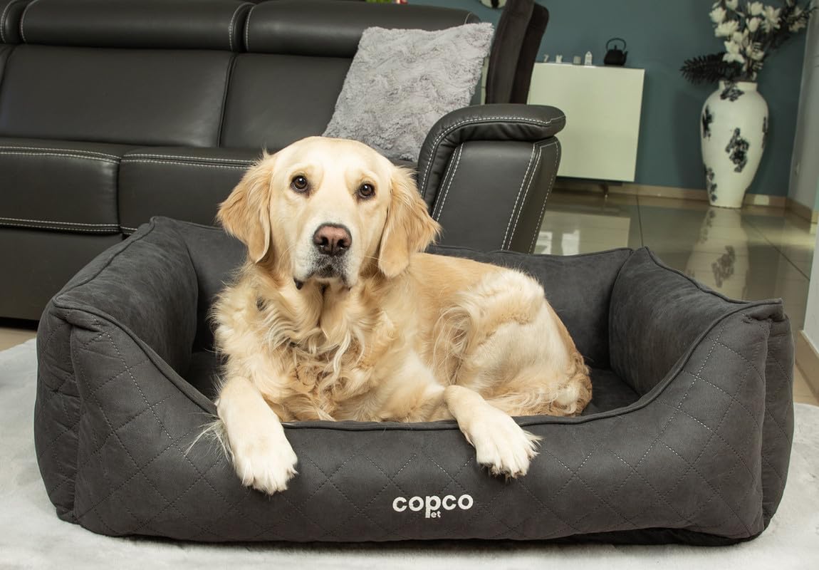 CopcoPet – Cama para perros Hugo en imitación de ante S 70 x 55 cm negro – Cojín para perros de espuma con funda extraíble y lavable – Cómoda cesta para perros con bordes elevados y base