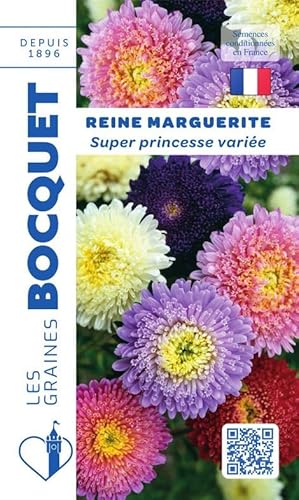 Sachet de graines de Reine Marguerite Superprincesse variée - 0,8 g - fleur annuelle - LES GRAINES BOCQUET