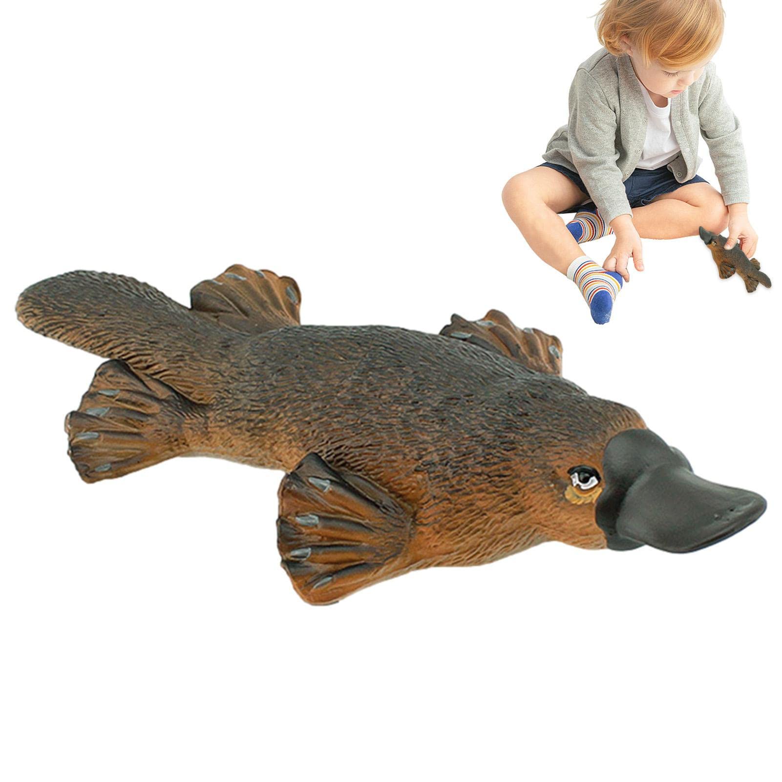 Amazon.co.jp: カモノハシのおもちゃ - 現実的なカモノハシ グッズ