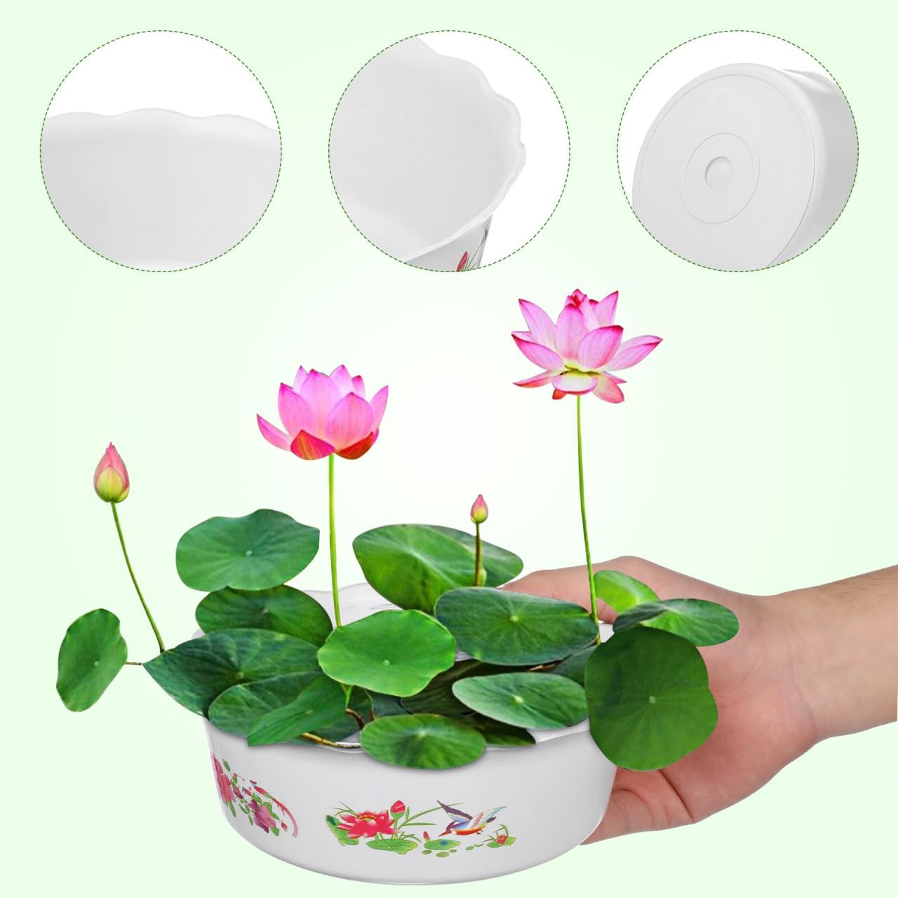 INOOMP 6pcs Hydroponic Planter Lotus Flower Pot 6.7 Inch Water Lily Narcissus Planting Bowls Plastic Flower Pot Plant Container Fish Bowl Plant Succulent Holder Pot