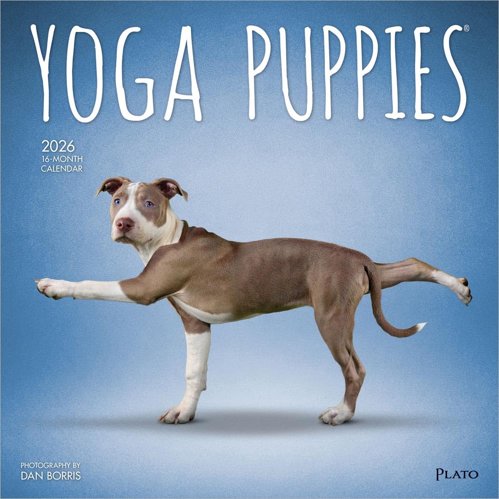 Yoga Puppies - Welpen Yoga 2026 - 16-Monatskalender: Original BrownTrout-Kalender [Mehrsprachig] [Kalender]