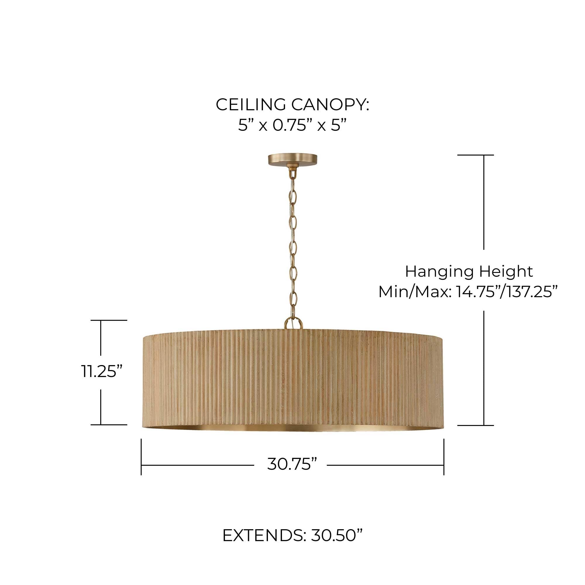 Capital Lighting 450741WS Donovan Mid-Century Modern Artisan