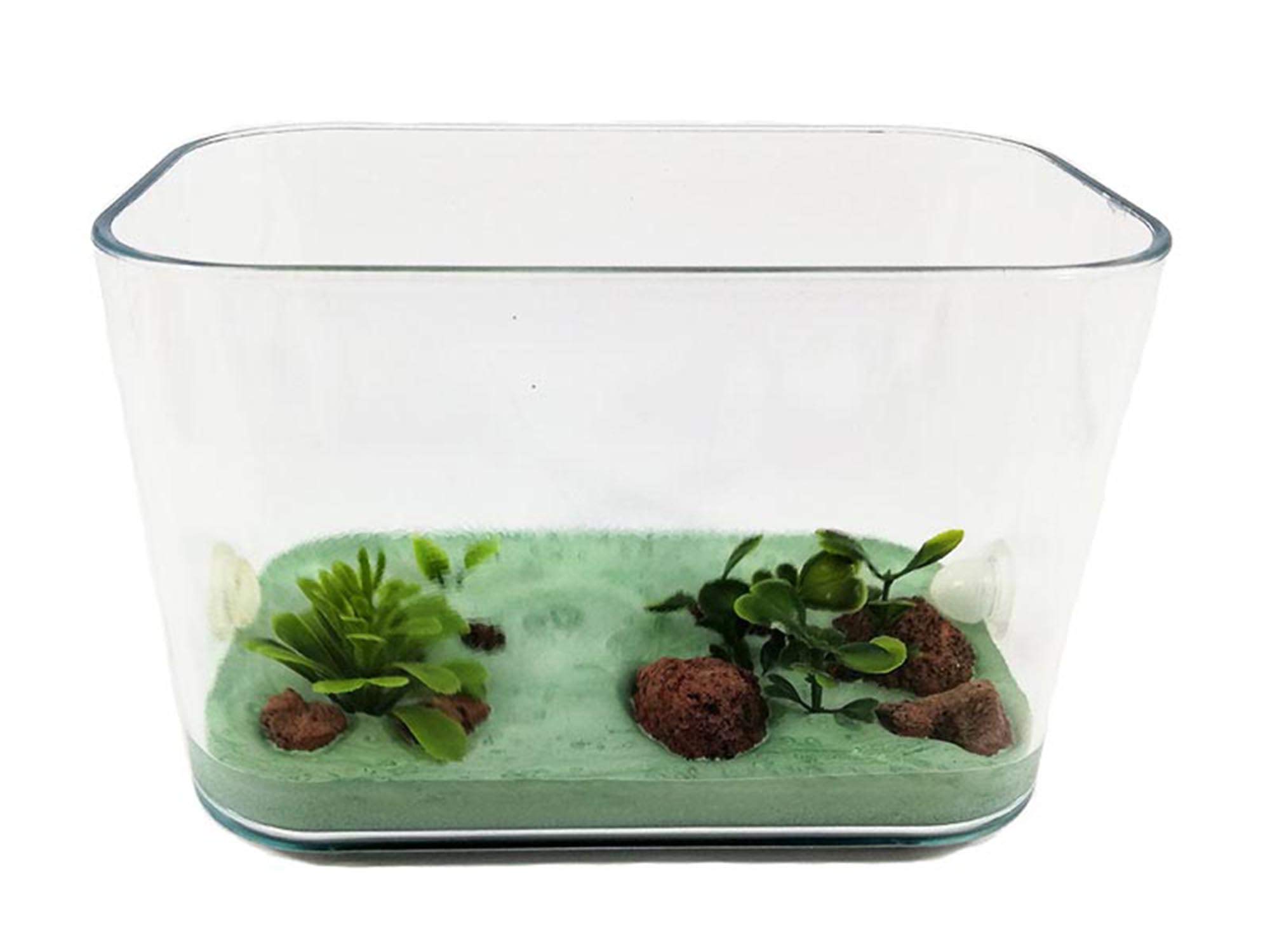 Caja de forrajeo Mediana Doble Altura -con decoración integrada