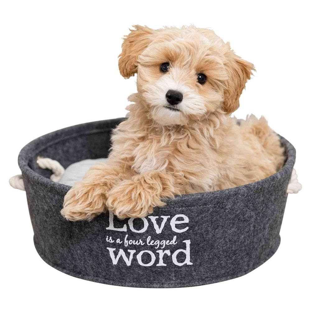 Trixie Lian Lit Coussin pour Chien Gris 45 cm