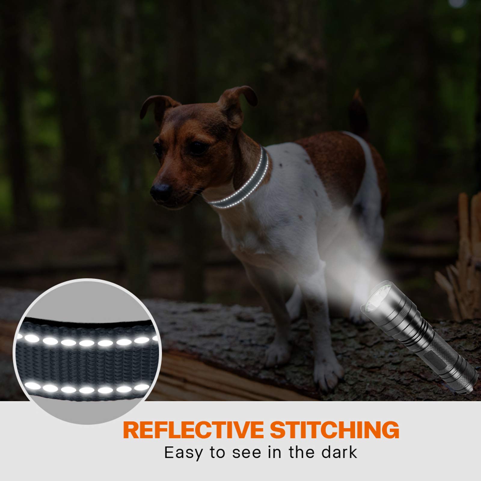 Taglory collare per cani, Imbottito Nylon Regolabile Traspirante Riflettente Collari per Cani di Taglia Piccola, Grigio